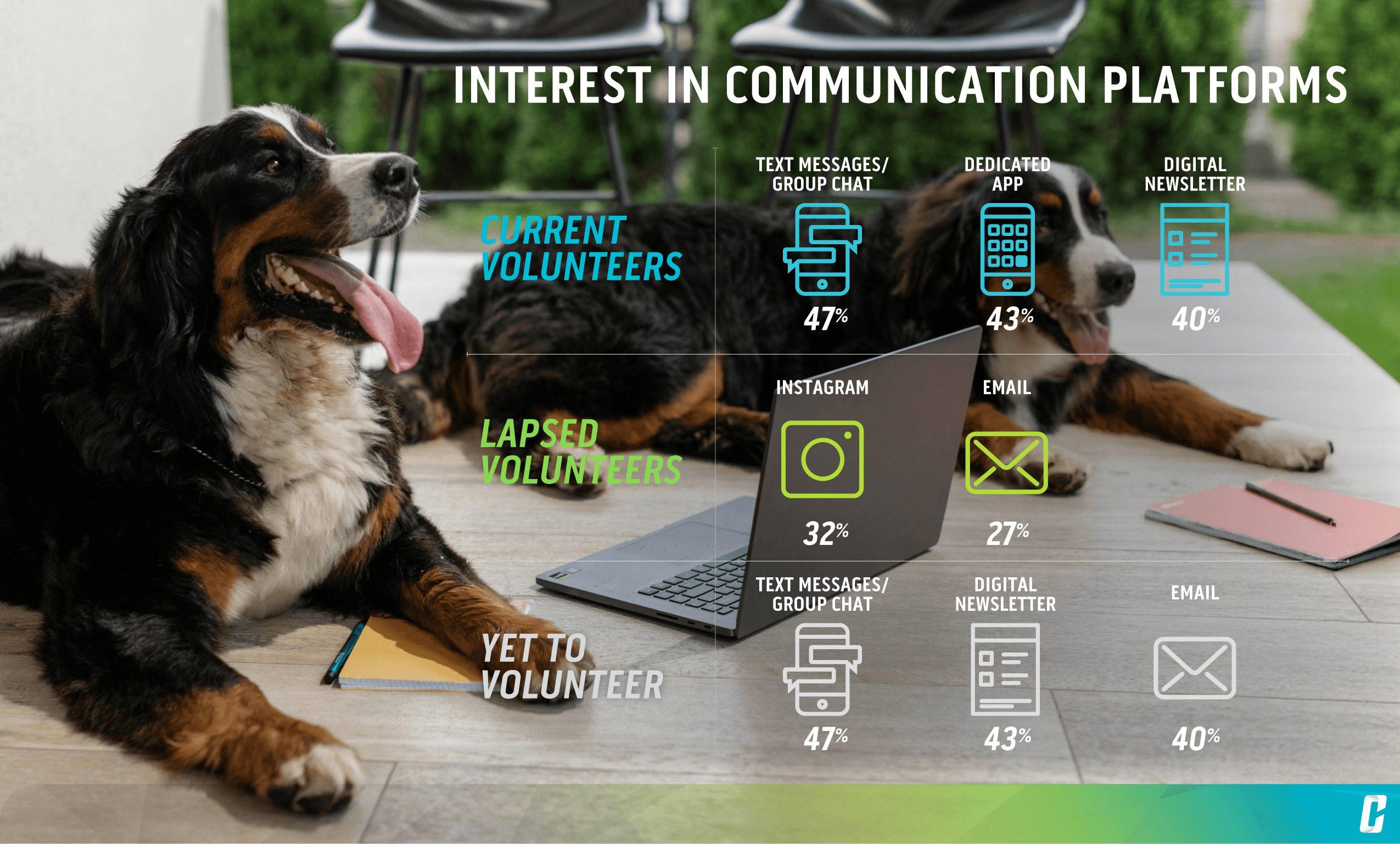 Volunteer Engagement in Non-Profit